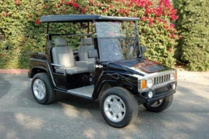 affordable golf cart rental, golf cart rent santa clara